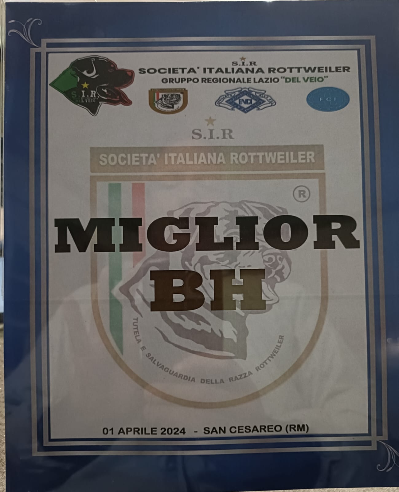 Brevetto Bh Yo Dell Olimpo Cane Corso Femmina 1