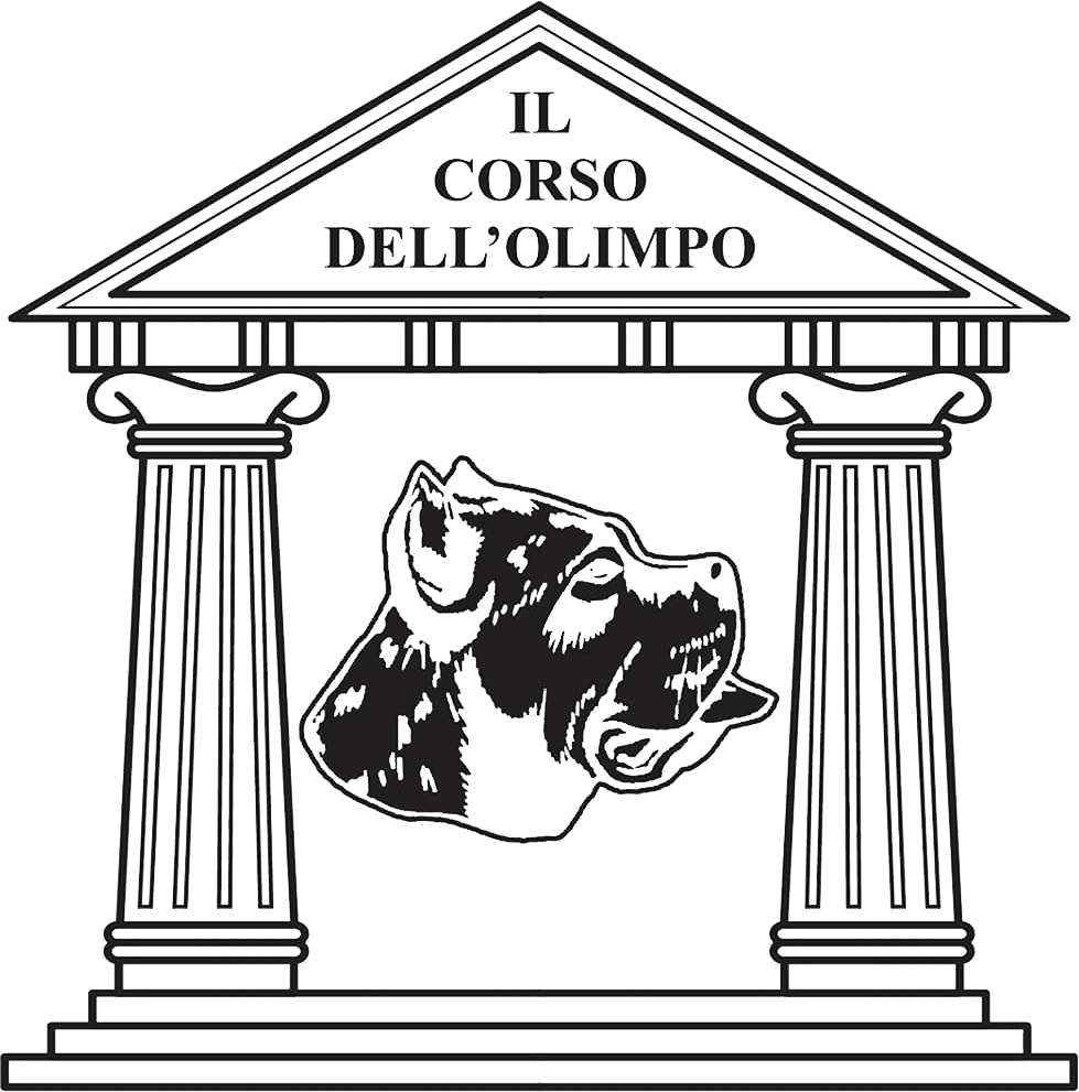 Il Corso dell'Olimpo